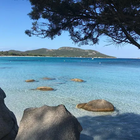 Vila Frauletto Figari (Corsica)